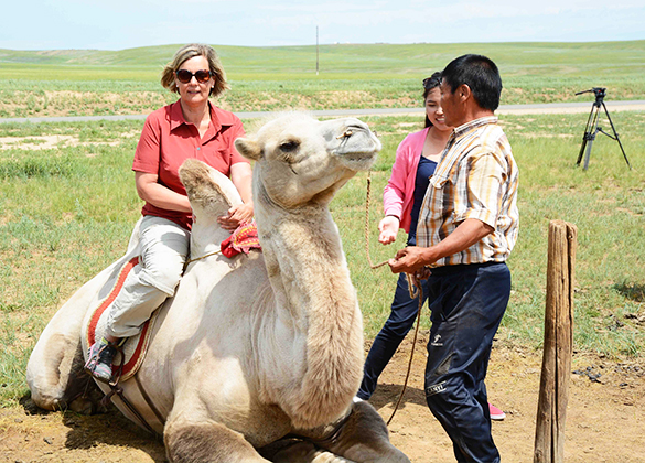 Хархорин и мини-Гоби